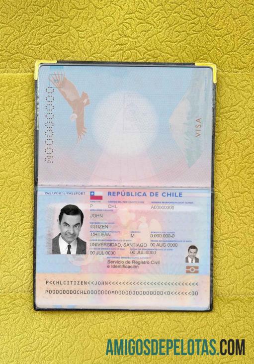 Foto do passaporte do Chile exemplo real